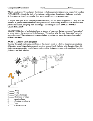 cladogram worksheet answers