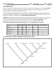 cladogram worksheet answers