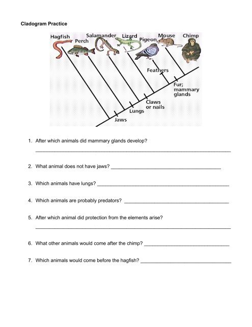 Cladogram Practice - MrsIacuone.com