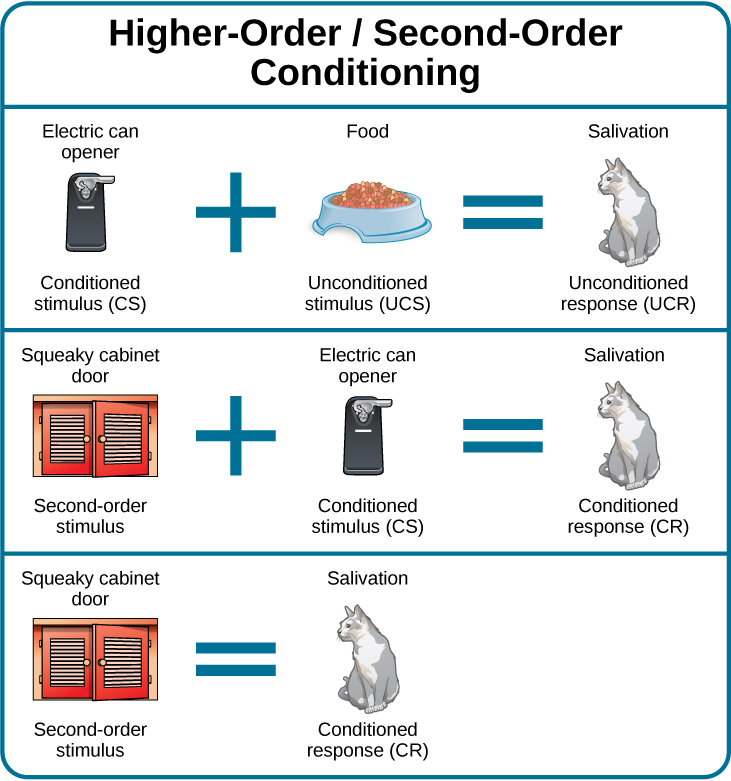 Classical Conditioning - Psychology