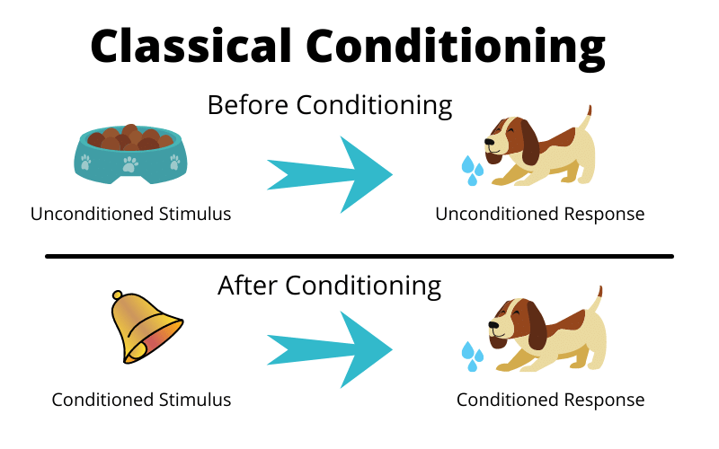 Examples of Classical Conditioning