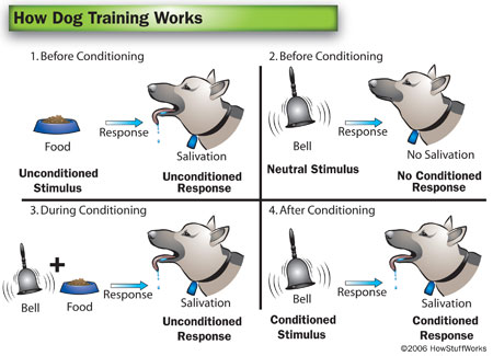 Classical and Operant Conditionings - Their Applications in HR ...