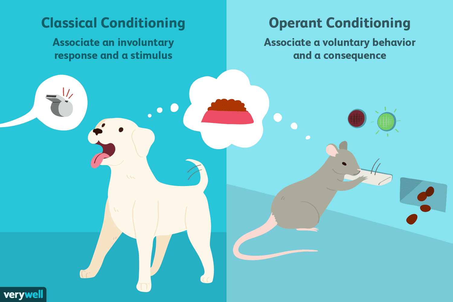 classical conditioning education