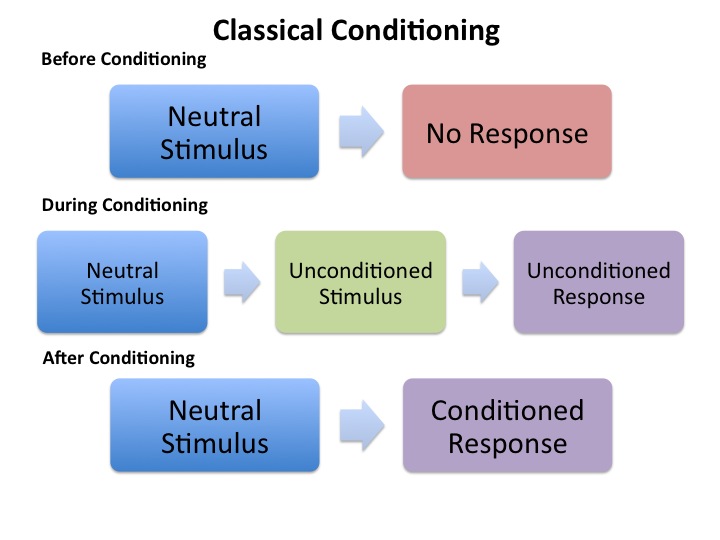 classical conditioning education