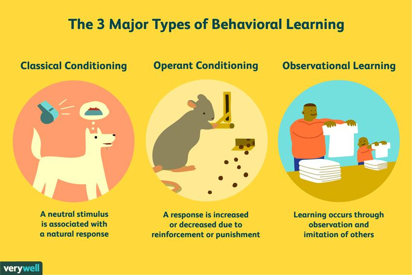 Classical Conditioning - The Weekend Online | Daily Mirror