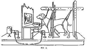 Classical conditioning - Wikipedia