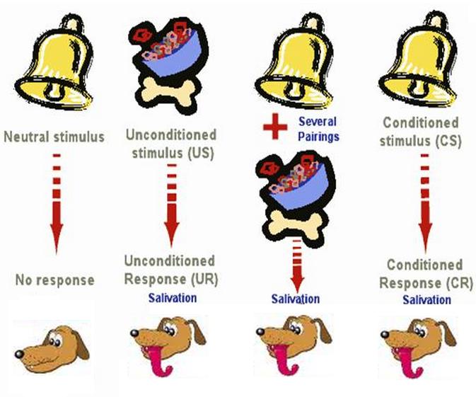Classical Conditioning - worksheet | MK-Social Justice