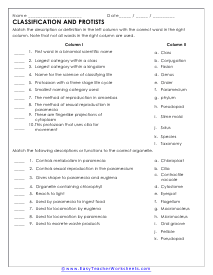 Classification Worksheets