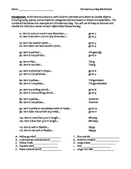 classification key worksheet
