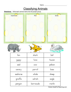 classification of animals worksheet