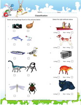 Classification of organisms, games, worksheets for kids
