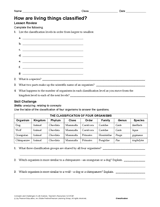 classification of organisms worksheet