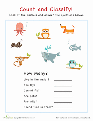 Count and Classify: Animals | Worksheet 