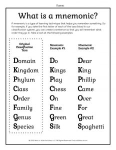 Taxonomy Lesson and Worksheets for Kids | Woo! Jr. Kids Activities ...