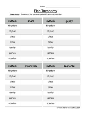 classification worksheet for middle school