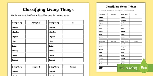 classification worksheet high school