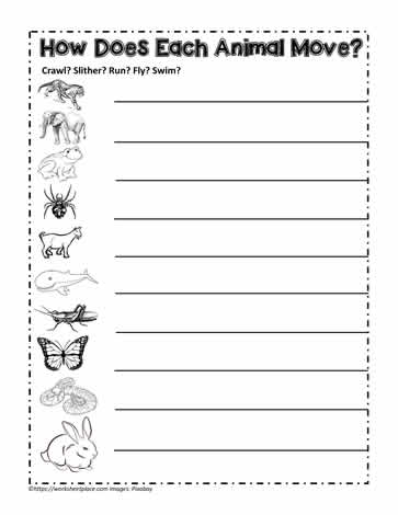 Animals Classification Worksheet Worksheets