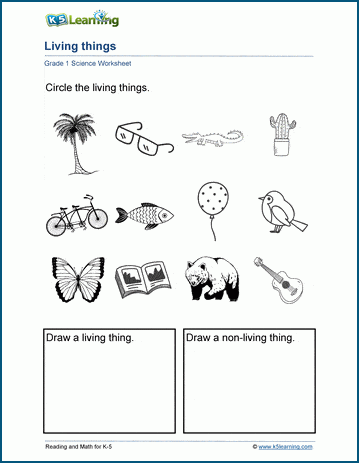 Living Things Worksheet | Worsheets library