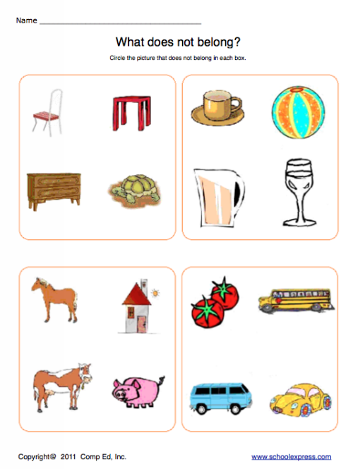 School Express Classification Worksheet | Education World