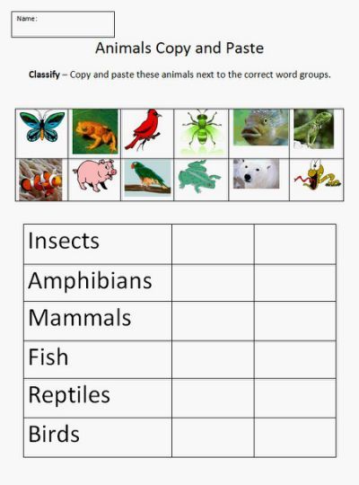 classifying worksheet