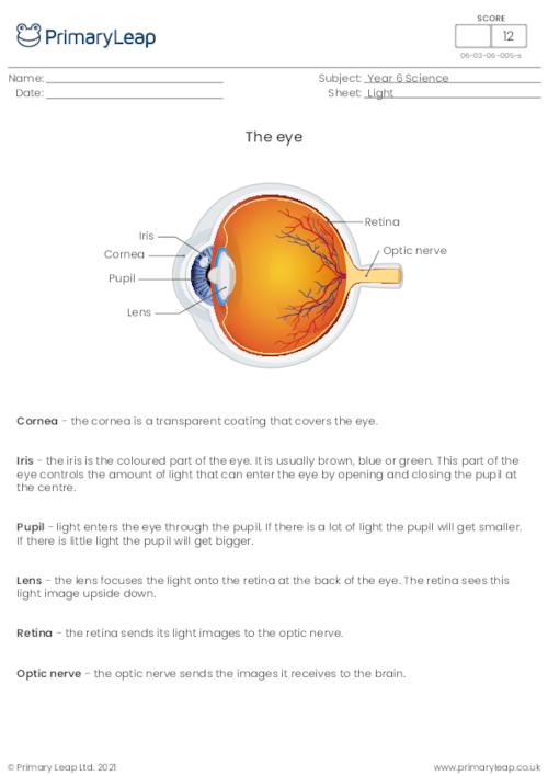 Chemical Bonding and Reactions Close Reading Assignment ⋆ The ...