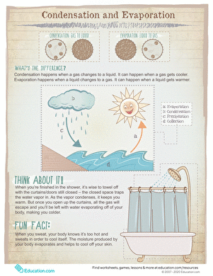 The secret to scientific discoveries…: English ESL worksheets pdf ...