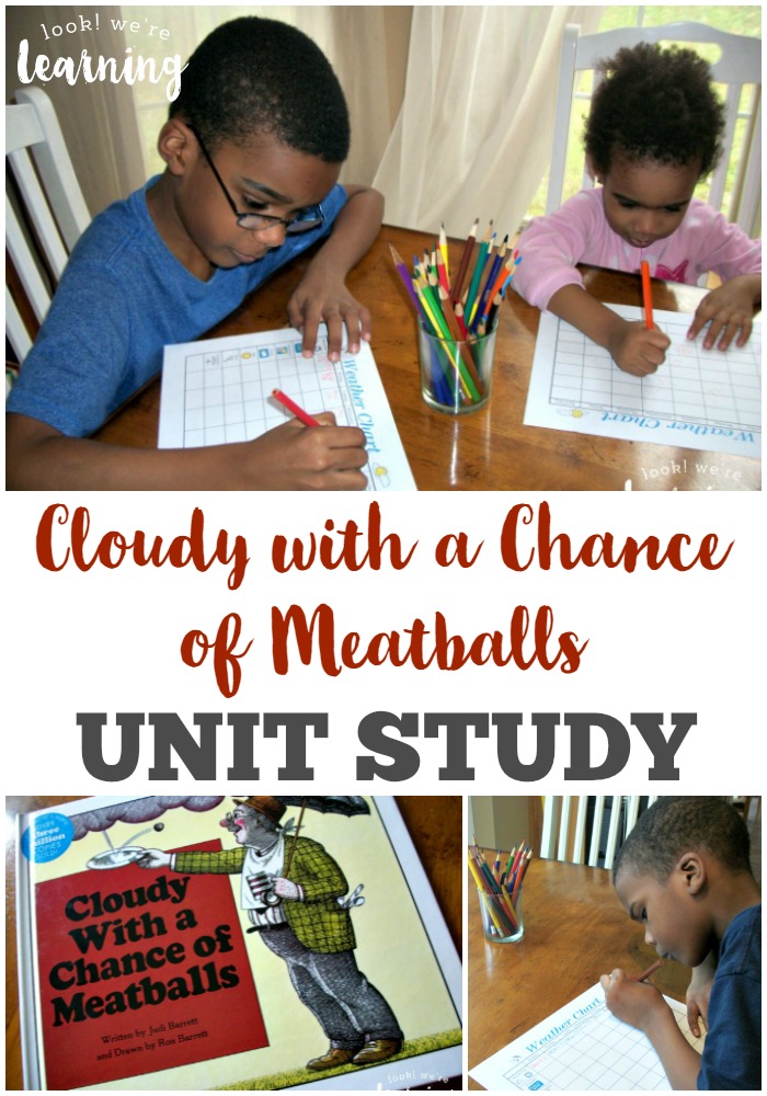Cloudy with a Chance of fun… Cindy L. Meesters Blog Speech