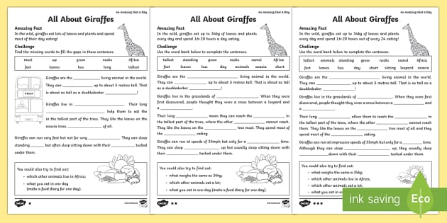Printable Giraffe Worksheet - Ready made Teaching Resource