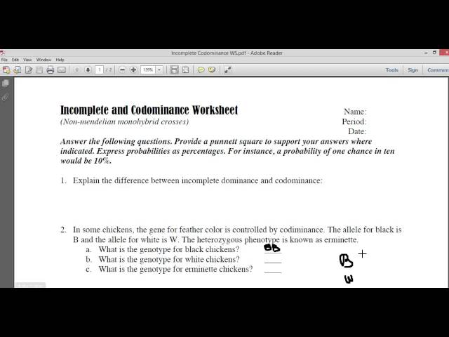 Incomplete and Codominace Worksheet Part1 - YouTube