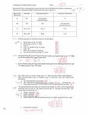 Codominance Worksheet Blood Types.pdf - | Course Hero