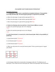 Incomplete and Codominance Worksheet - Incomplete and Codominance ...