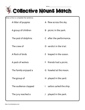 collective nouns worksheet 2nd grade