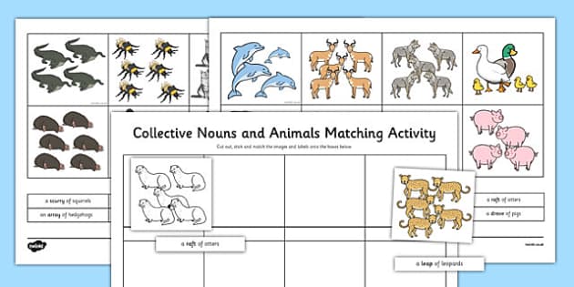 collective nouns worksheet pdf