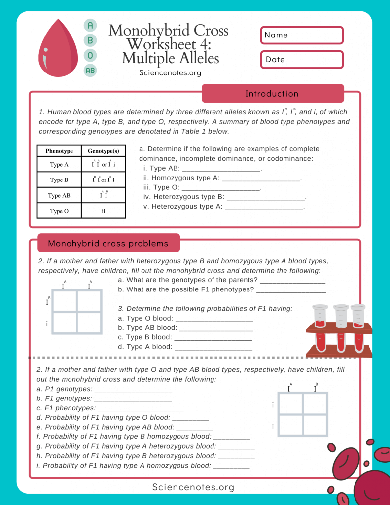 Biology Worksheets, Notes, and Quizzes (PDF and PNG)