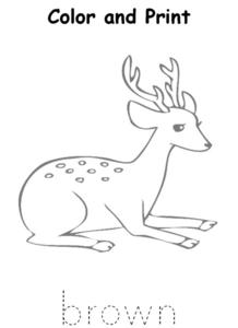 color brown worksheet for kindergarten