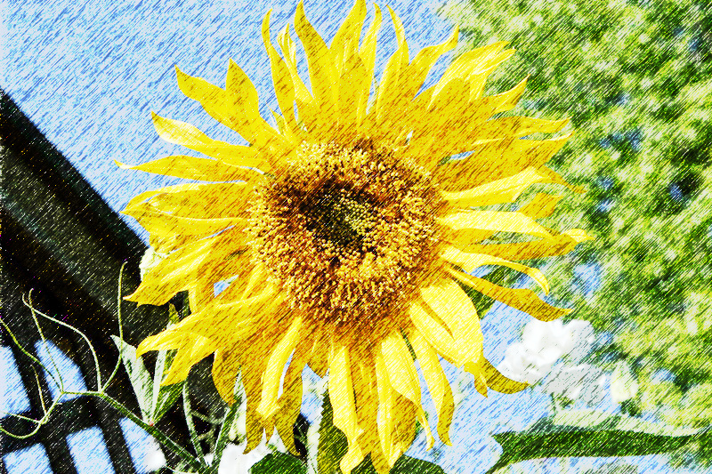 color drawings online