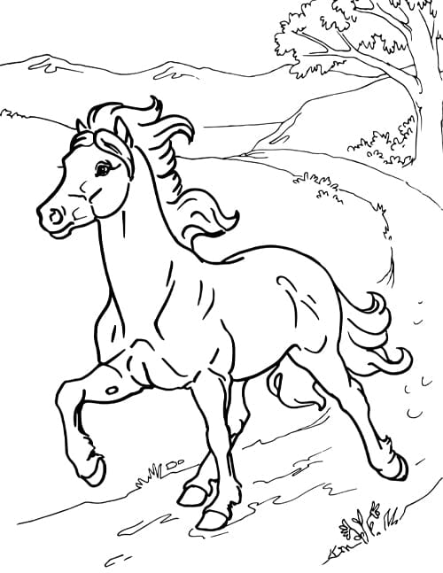 Coloring Pages - BreyerHorses.com