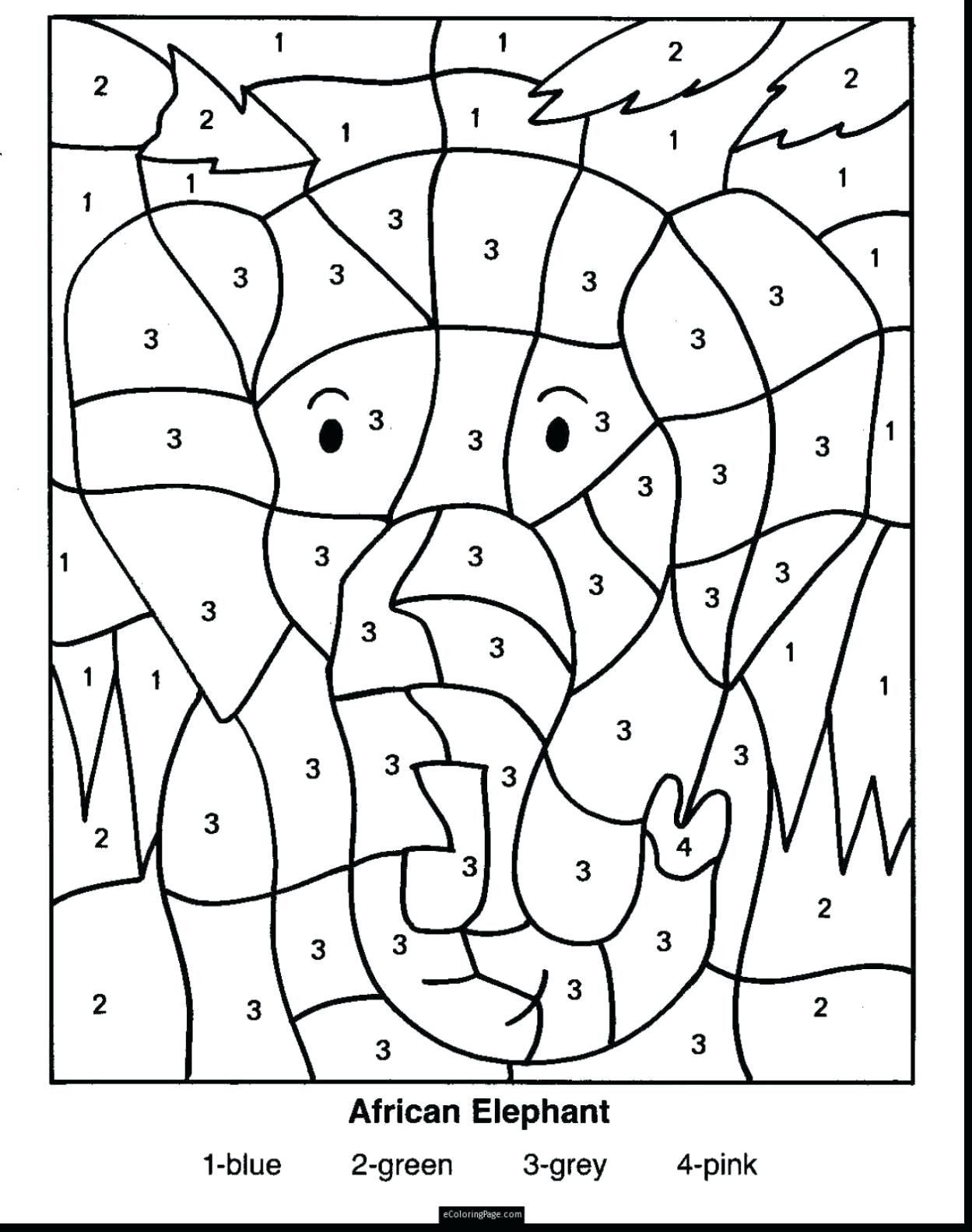 coloring worksheet 3rd grade division by 2