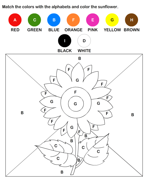 colors worksheet for preschool