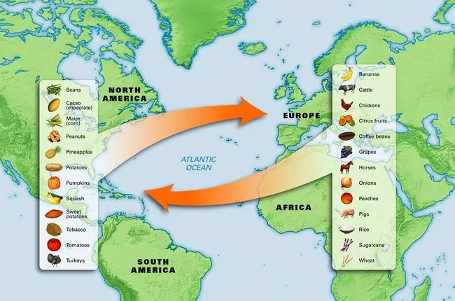 Columbian Exchange Word Search Puzzle | Student Handouts