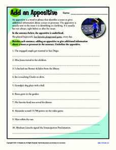 commas with appositives worksheet