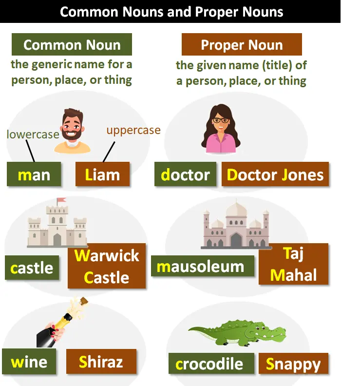 common and proper nouns sentences