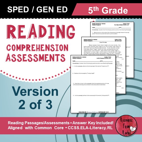 Reading Comprehension Assessment 5th grade volume 2