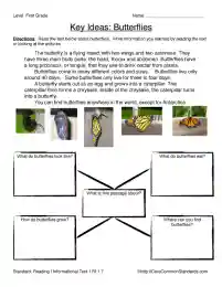 RI.1.7 Common Core Worksheet
