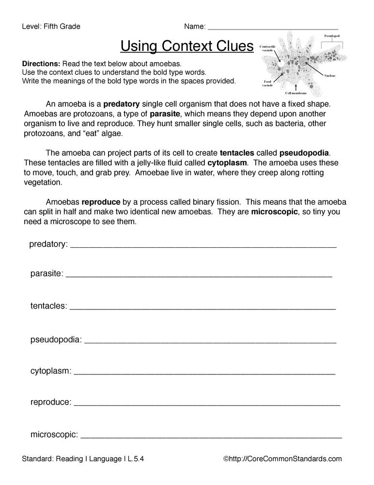 L.5.4 Common Core Worksheet  
