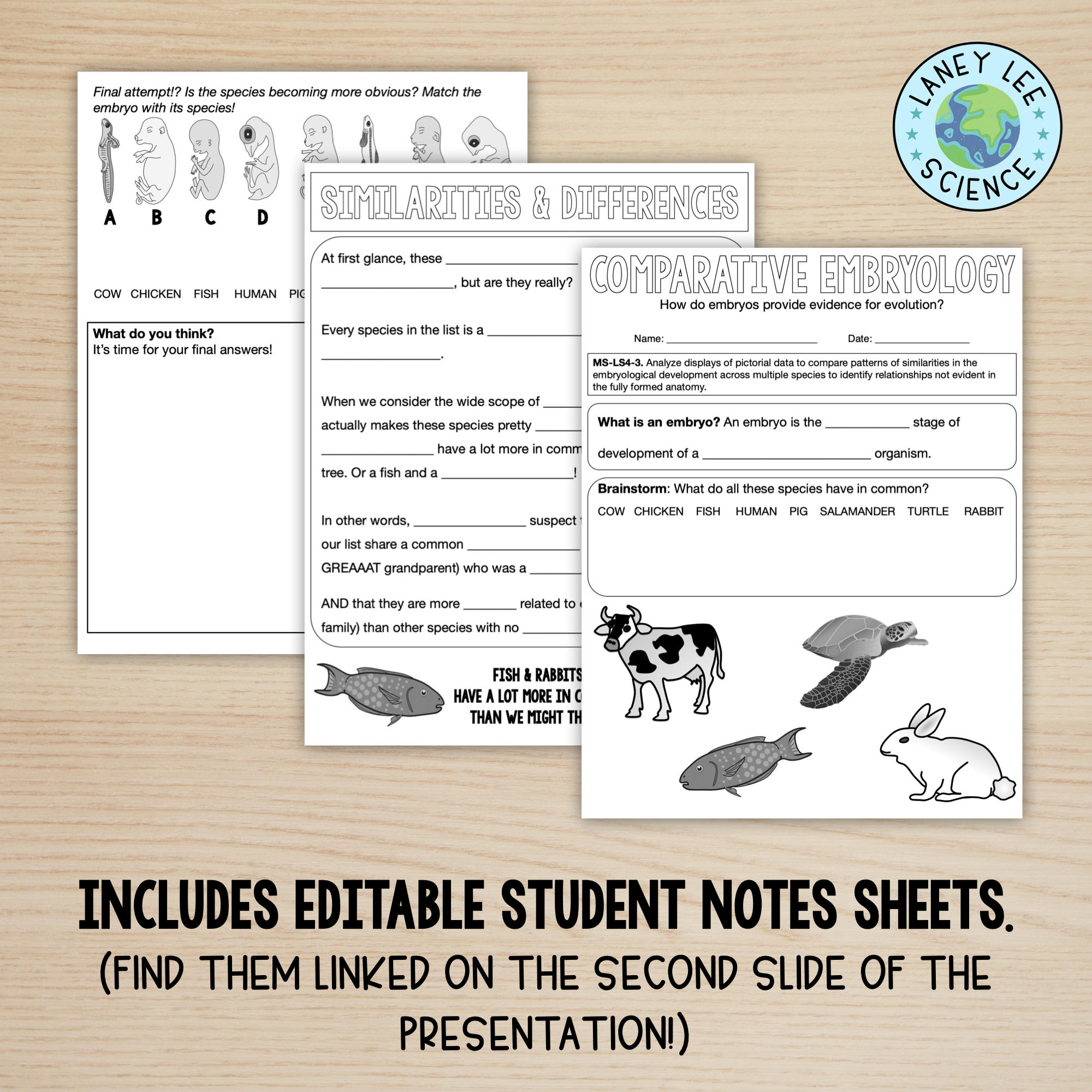 comparative embryology worksheet