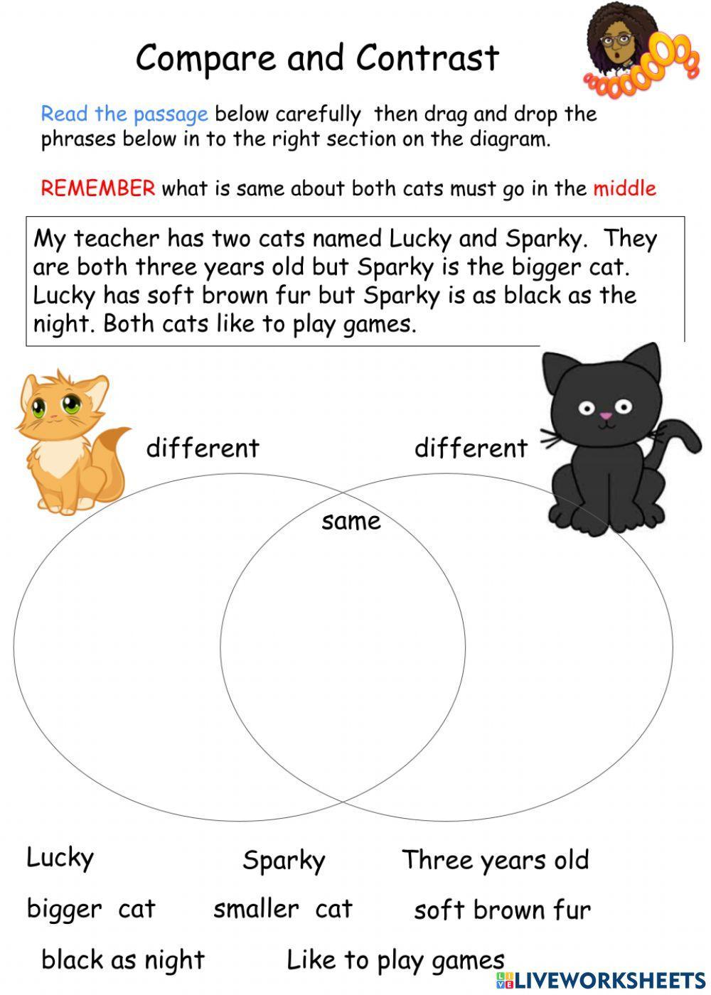 Compare and contrast worksheet for 1  