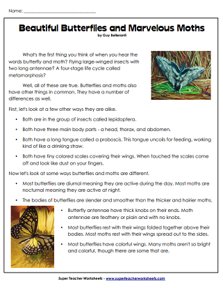 Compare and Contrast Worksheets