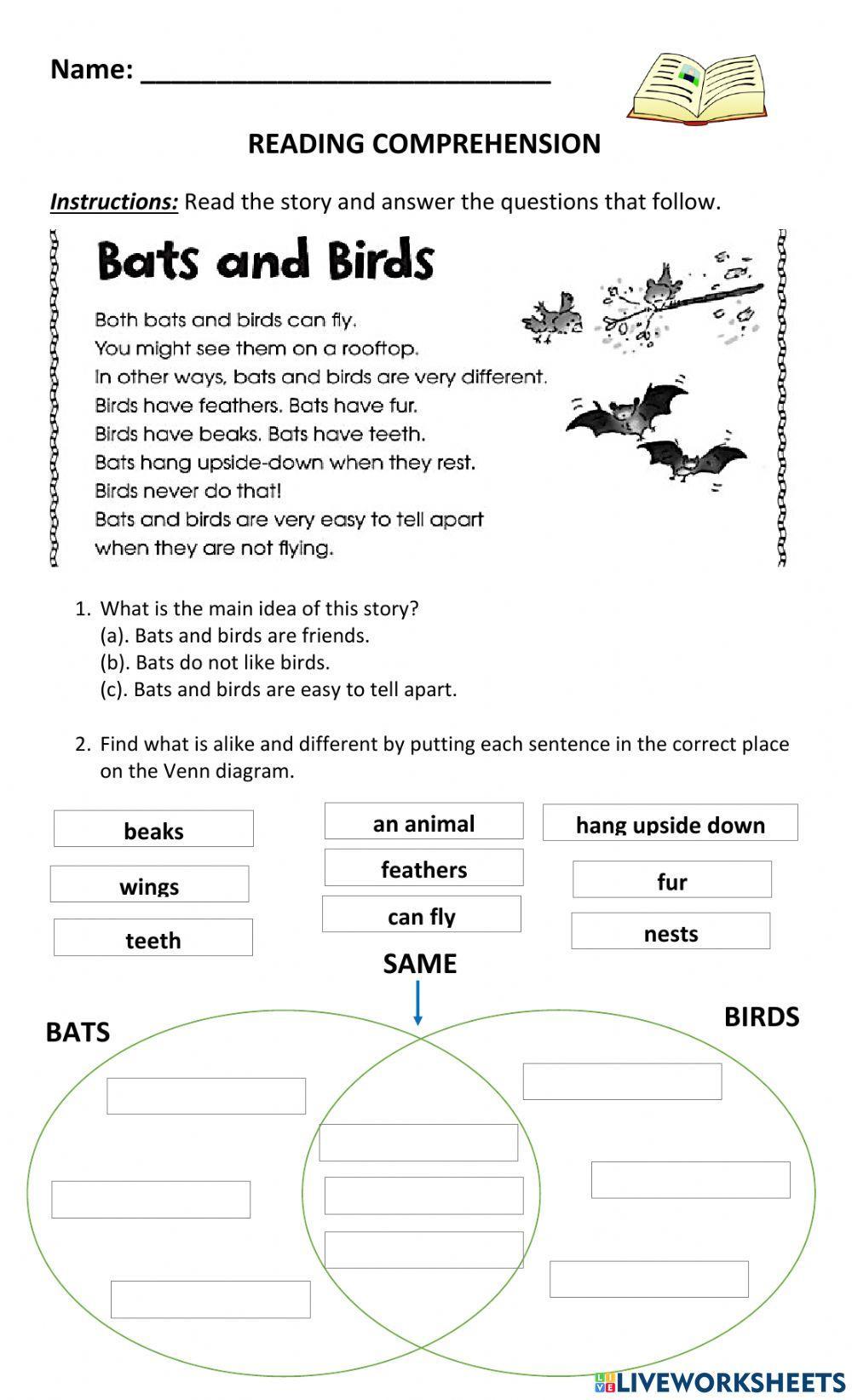 compare and contrast worksheet for 1st grade