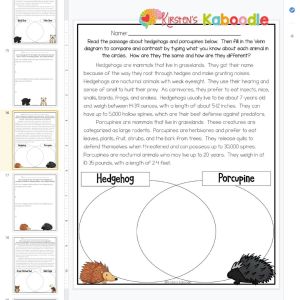 compare and contrast worksheet for 2nd grade
